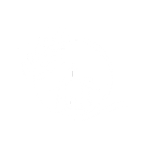 Peterborough Diocese Education Trust Academies School Logo 